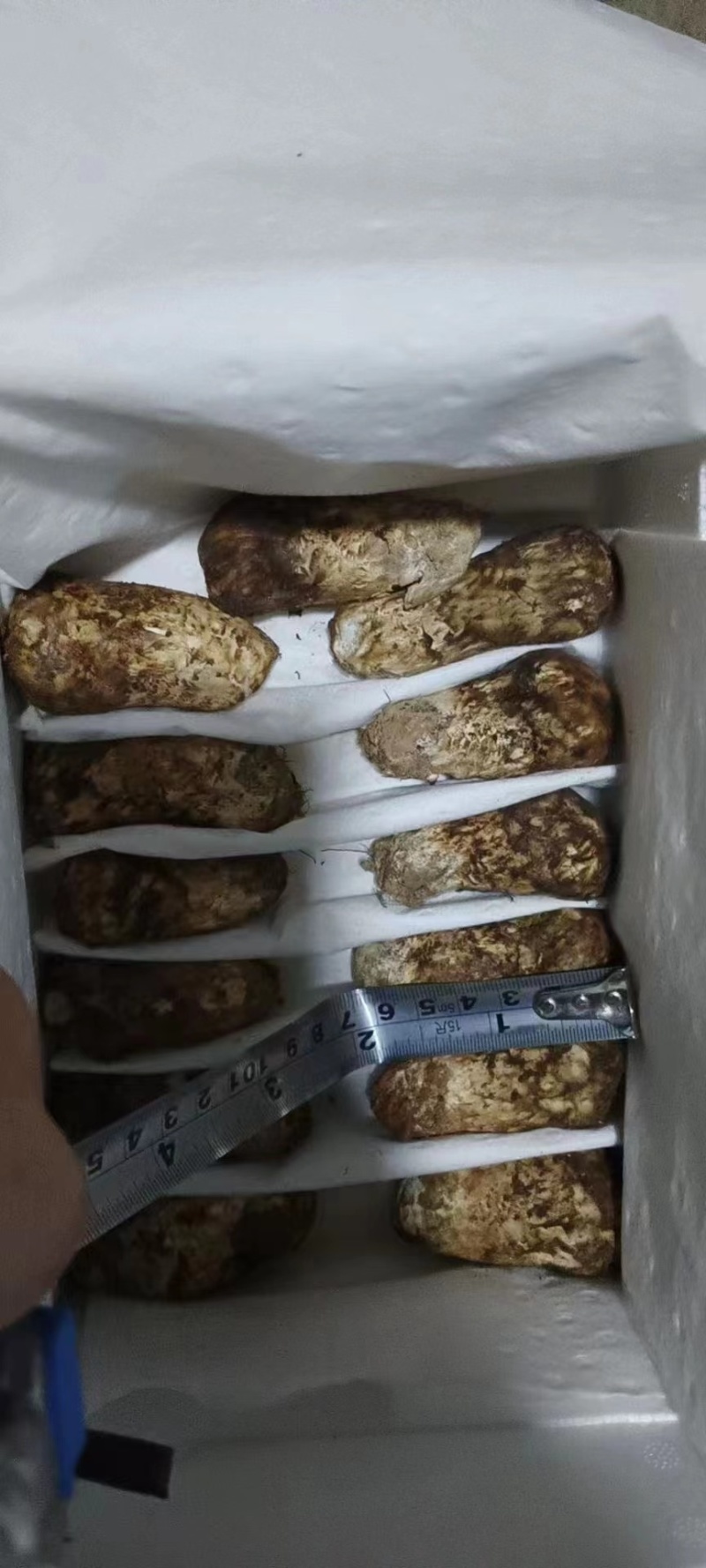 雅江松茸，产地直销，品质有保障，诚信经营，量大从优