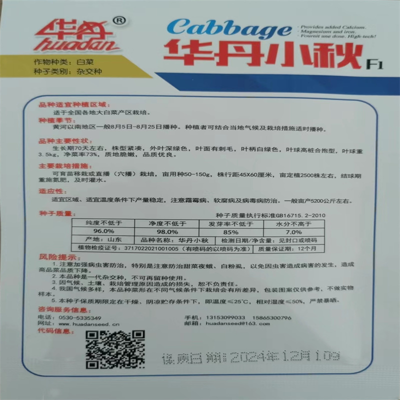 华丹小秋白菜种子10g高桩合抱大白菜种子70天高帮白菜