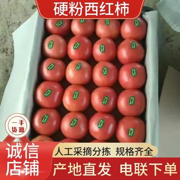 【优质】西红柿品质好价格低全国代发品质保障