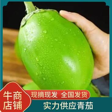 【高品质】青茄子新鲜上市量大质优商超品质全国供