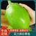 【高品质】青茄子新鲜上市量大质优商超品质全国供