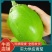 【高品质】青茄子新鲜上市量大质优商超品质全国供