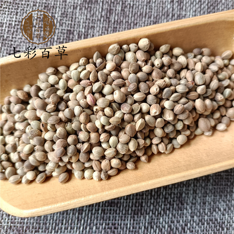 火麻仁带皮火麻仁颗粒饱满甘肃产地货源