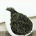海南绿茶新茶叶炒青绿茶叶浓香耐泡五指山多规批发散装50g