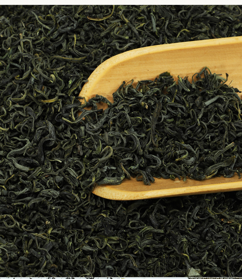 海南绿茶新茶叶炒青绿茶叶浓香耐泡五指山多规批发散装50g
