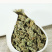 海南万宁鹧鸪茶三亚旅游特产茶清热老爸茶新货