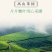 安溪铁观音茶叶浓香清香型新茶高山乌龙茶散装装餐饮批发包邮