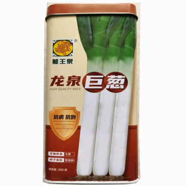 龙泉巨葱种子高产抗病强章丘大葱抗倒春秋四季种植