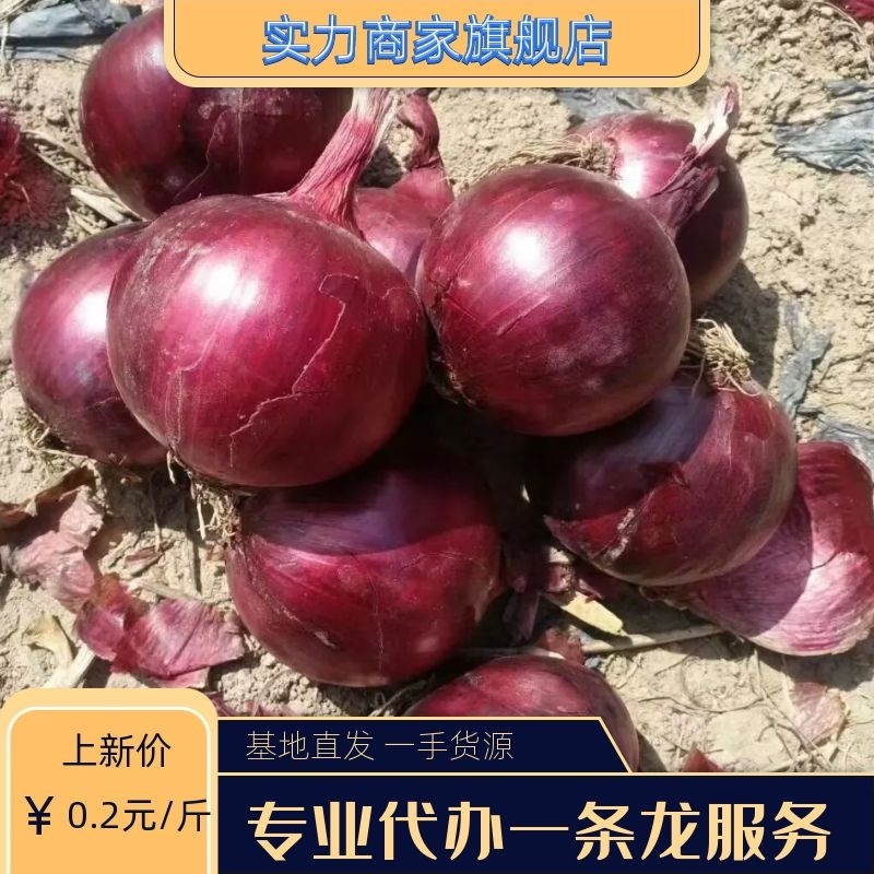 紫，红，黄洋葱常年大量供应，代发全国各地，价格优惠
