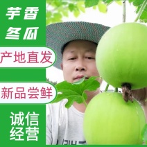 香芋冬瓜，芋香冬瓜，芋头冬瓜，新品种，可以生吃的冬瓜