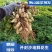 开封沙地鲜花生，白沙系列，果面干净颗粒饱满，无画皮无坏果