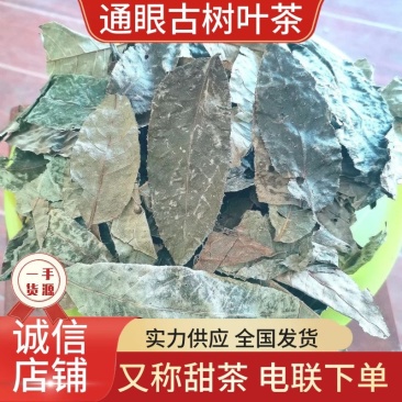 千年通眼古树叶树叶甜茶生叶直晒有益健康，量大从优