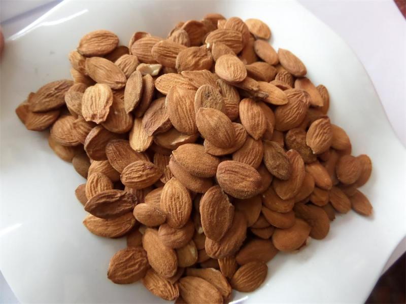 桃仁家桃仁去皮带皮炒桃仁规格全质量优手机实拍