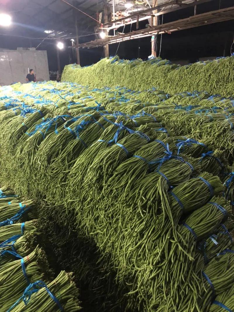 【精品】青条豆角，货源充足，专业装车批发基地直发