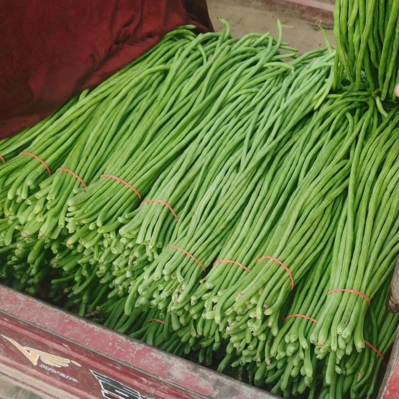 【精品】青条豆角，货源充足，专业装车批发基地直发