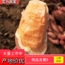 精品龙薯9新鲜上市货源充足价格实惠对接批发超市