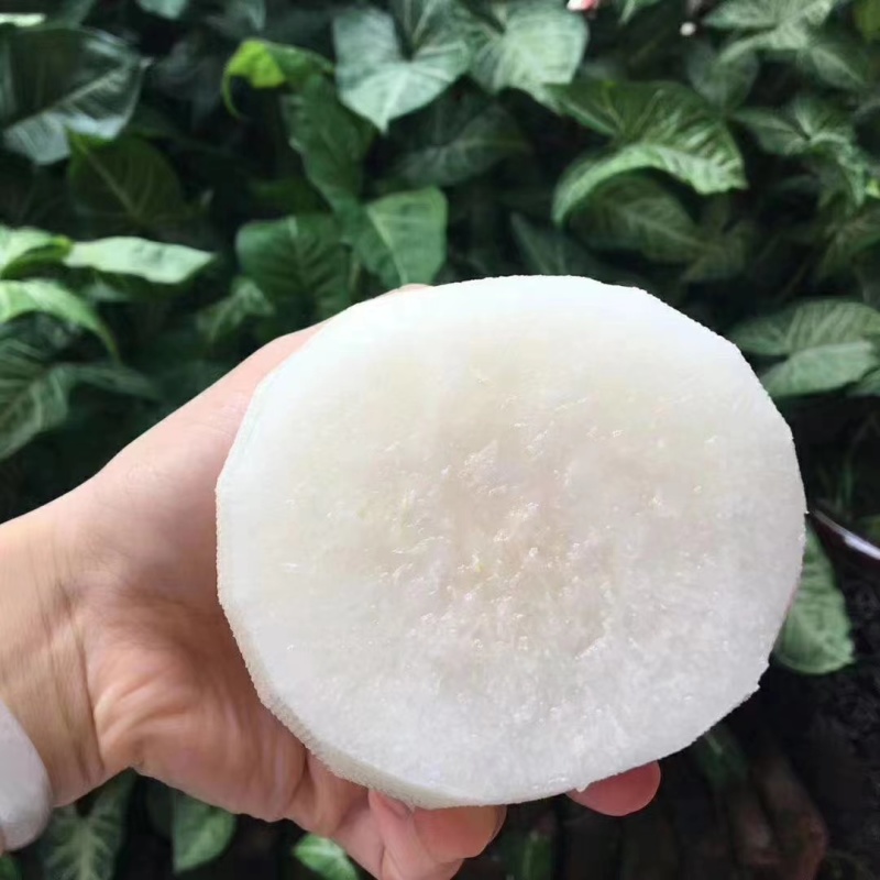 精品梨秋月梨一手货源视频看货品质保证以质论价
