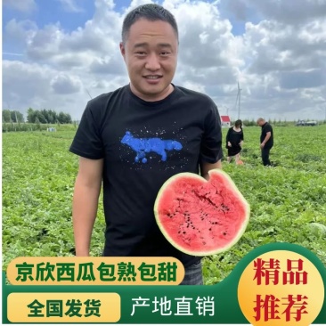 西瓜产地直发品质保证诚信经营欢迎老板联系