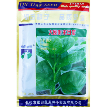 大叶木耳菜种子成活率高产页面肥厚耐抽薹春夏秋种植