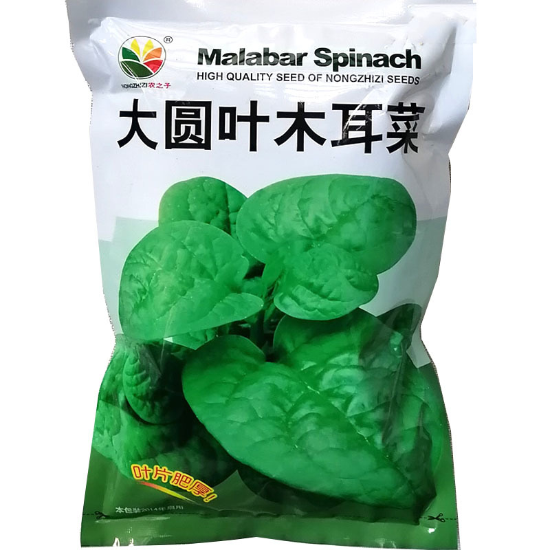大圆叶木耳菜种子叶片肥厚大叶木耳菜种籽耐高温耐湿