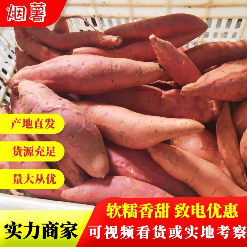 河北烟薯，精品红薯，产地批发，软糯香甜，对接电商社区