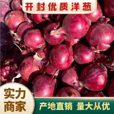 【优质洋葱】洋葱红皮洋葱质量保障量大从优诚信经营欢迎来电