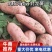 【好货】开封沙土地红薯大量上市保质保量可视频看货欢迎咨询