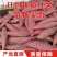 【好货源】开封沙土地西瓜红红薯基地直发量大从优欢迎联系