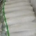 精品白萝卜基地直发品质保证可视频看货，欢迎来电