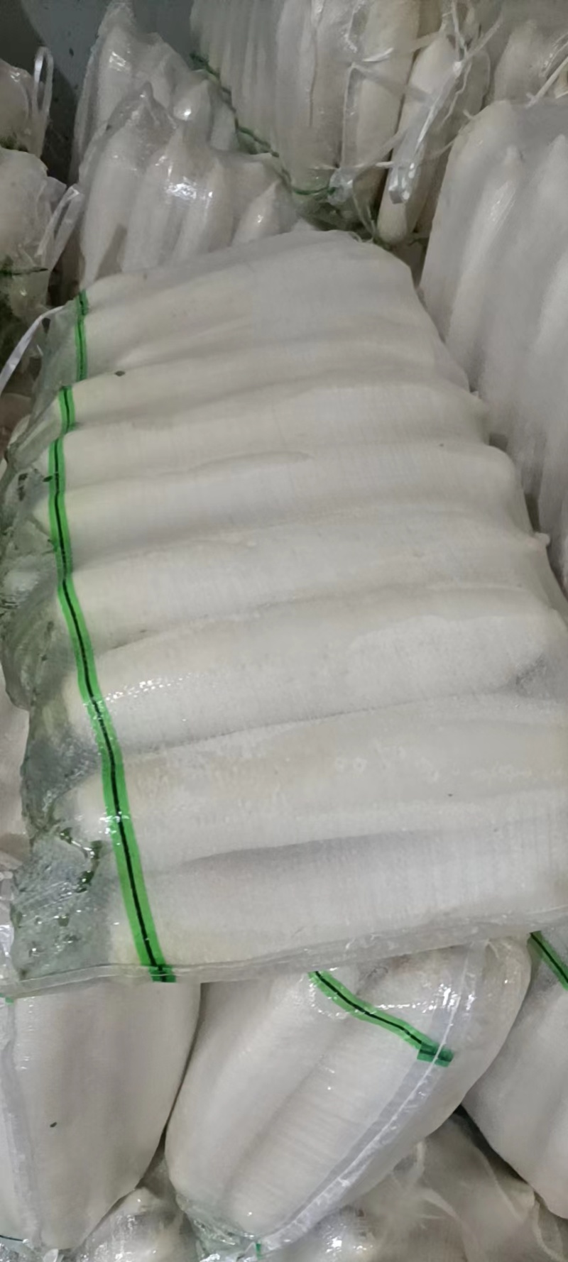 精品白萝卜基地直发品质保证可视频看货，欢迎来电