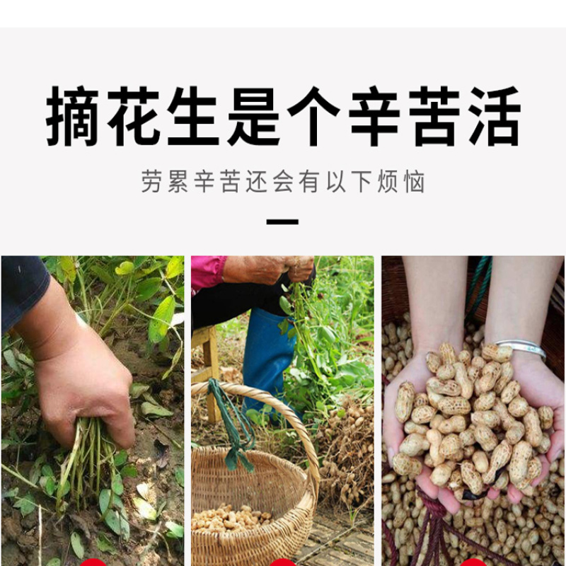 大型花生摘果机摘果干净去秧机干湿两用打果子自动装袋效率高