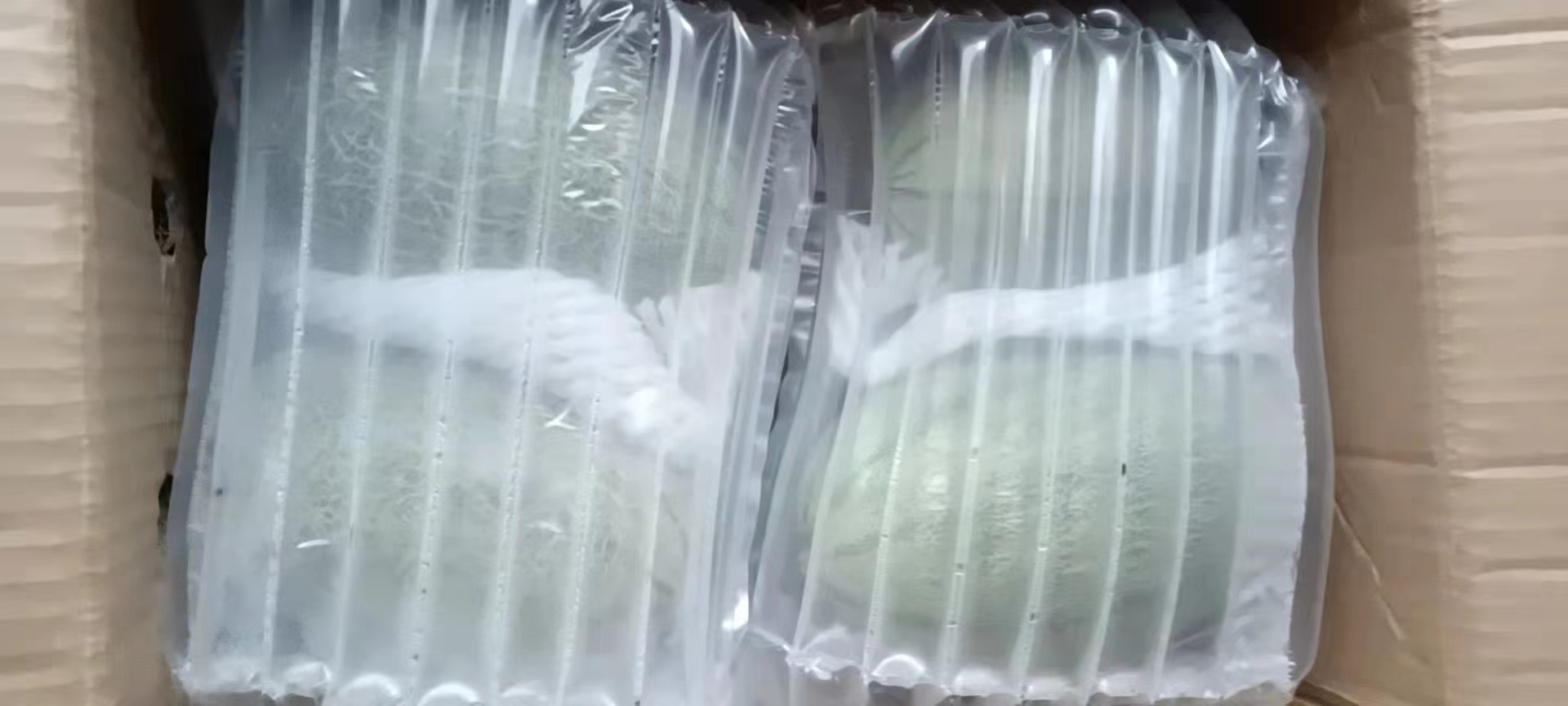 木瓜泡成品与密封罐