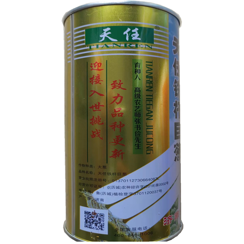 天任铁杆巨葱种子原种铁杆大葱种子章丘大葱高产耐寒抗倒