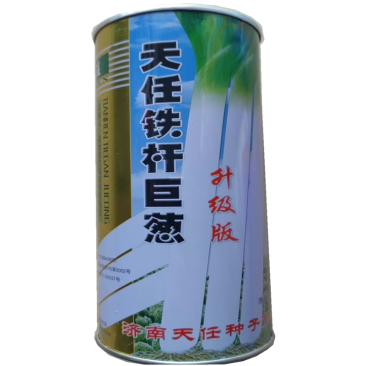 天任铁杆巨葱种子原种铁杆大葱种子章丘大葱高产耐寒抗倒