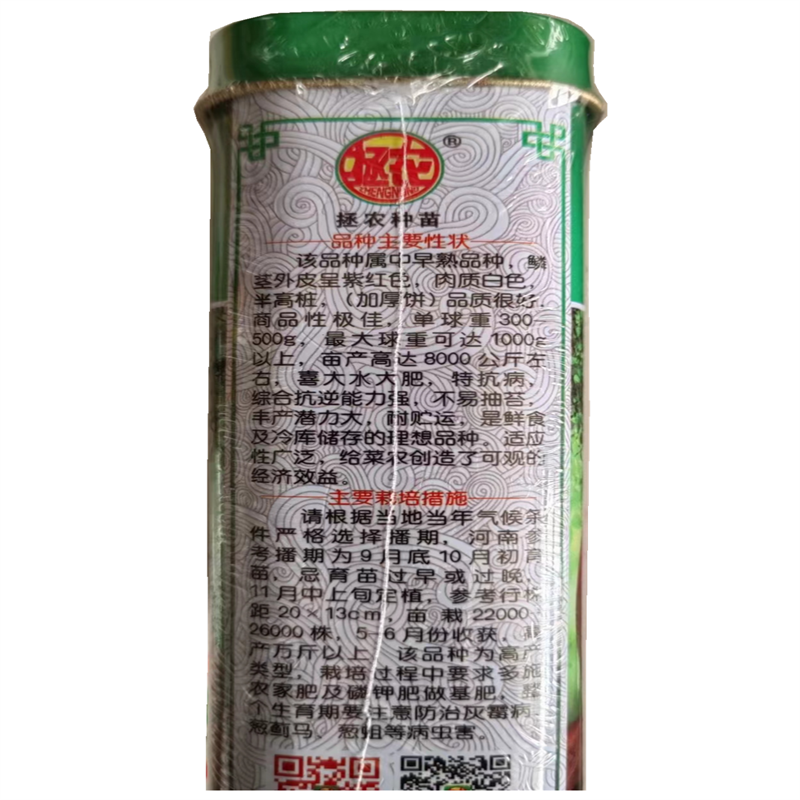 红满地洋葱种子中早熟紫红高产洋葱种子半高桩抗病洋葱葱头