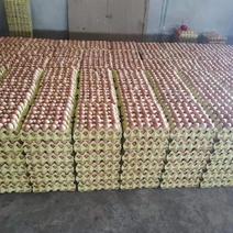 【红壳鲜鸡蛋】优质精品/海兰褐京红/鸡场发货/全国发货