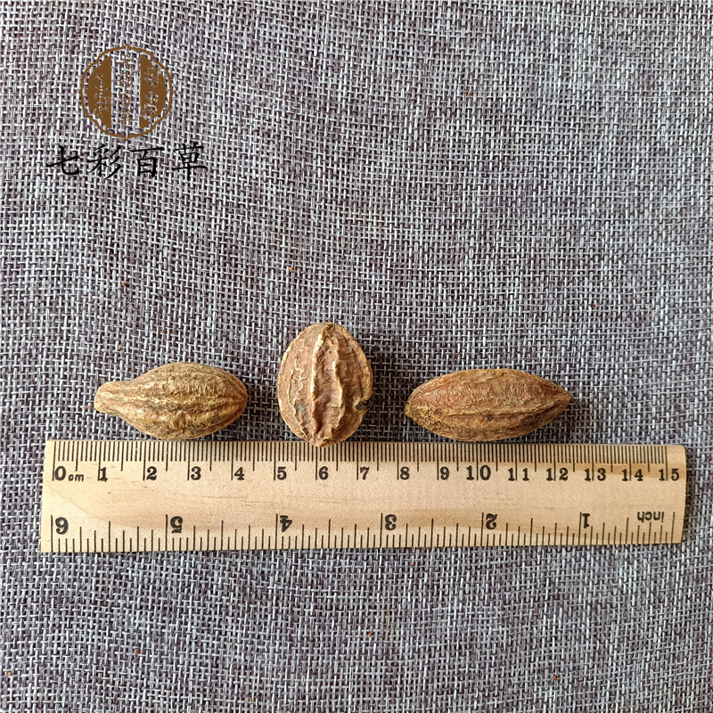 柯子柯子个诃子诃子个广西产地货源山东七彩