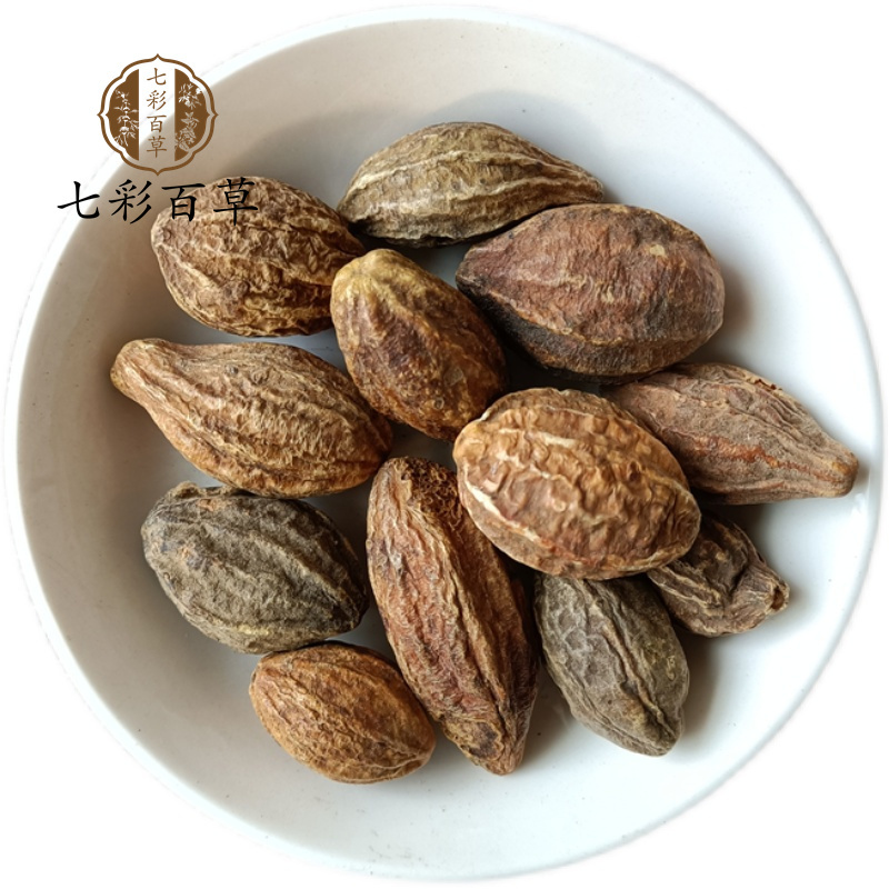 柯子柯子个诃子诃子个广西产地货源山东七彩