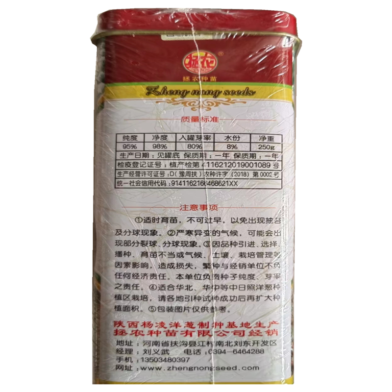 特大抗病超级紫彤洋葱种子半高圆型深紫皮洋葱种子早熟高产
