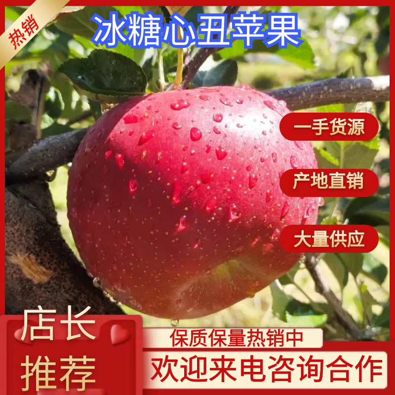 精品推荐丑苹果，冰糖心丑苹果，果农直供，脆甜爽口