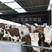 肉牛犊小牛犊西门塔尔牛手续齐全厂家直供免费送货