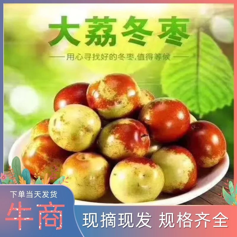 大荔冬枣，甜脆，口感好，坑鹏高架棉被冬枣，送人必备