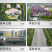 小型移动卧式红色汽油秸杆枝条粉碎机树枝树叶林碎枝机
