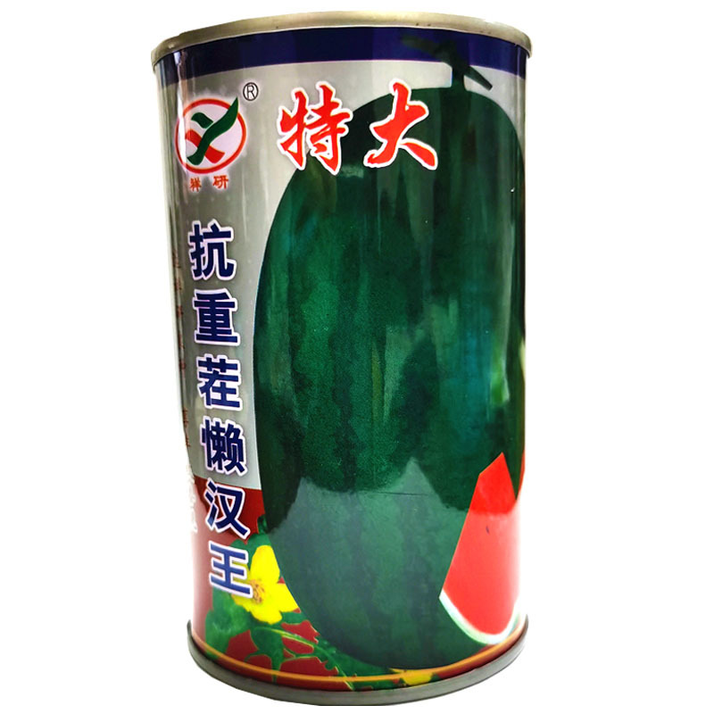 特大抗重茬懒汉王西瓜种子50g懒人免整枝大红瓤黑绿花皮