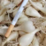 云南藠头藠头，产地直销一手货源，现挖现发量大从优
