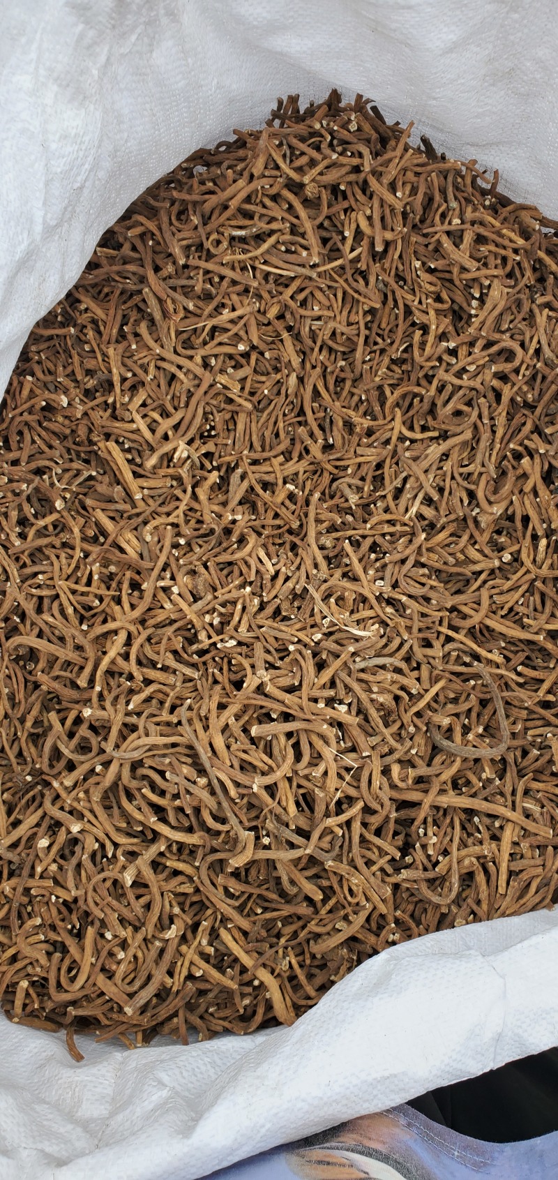 【精品】吉林长白山蒲公英根多规格当季新货品质保证欢迎咨询