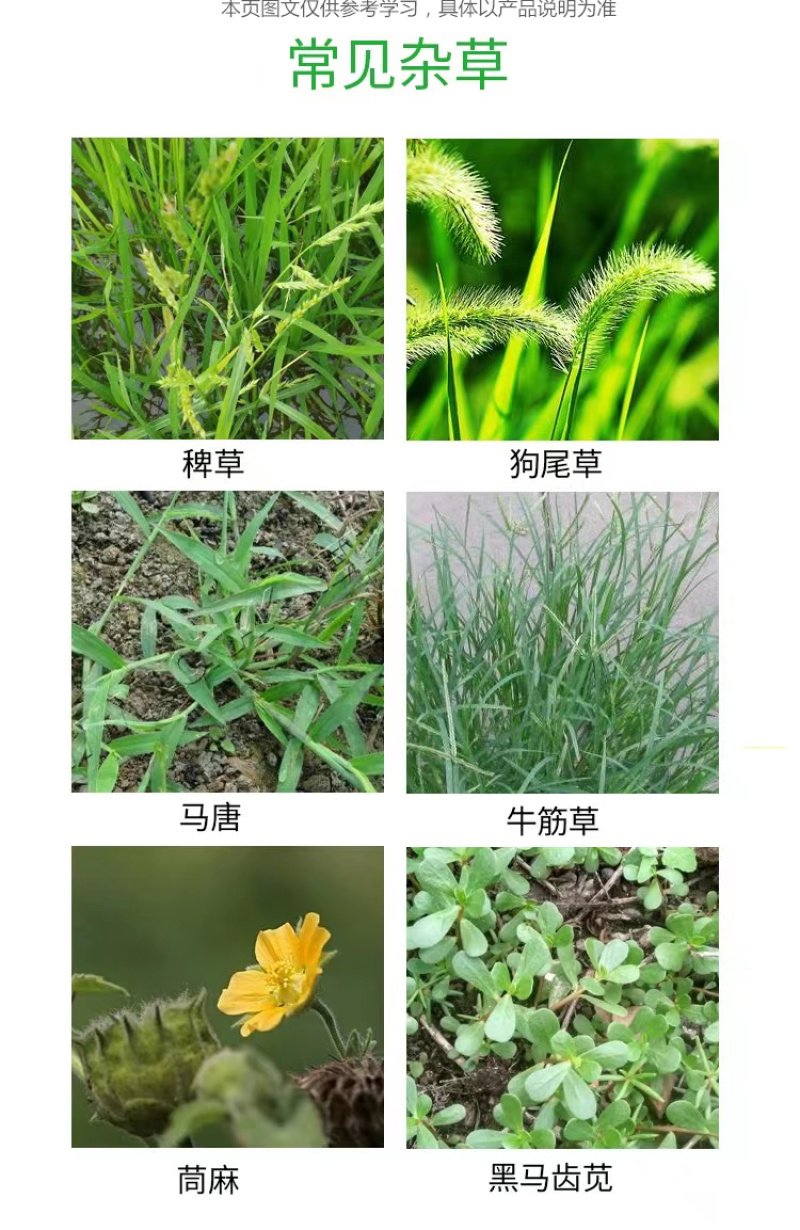 玉米苗后除草剂玉米专用除草剂玉米除草剂烟嘧磺隆莠去津硝磺