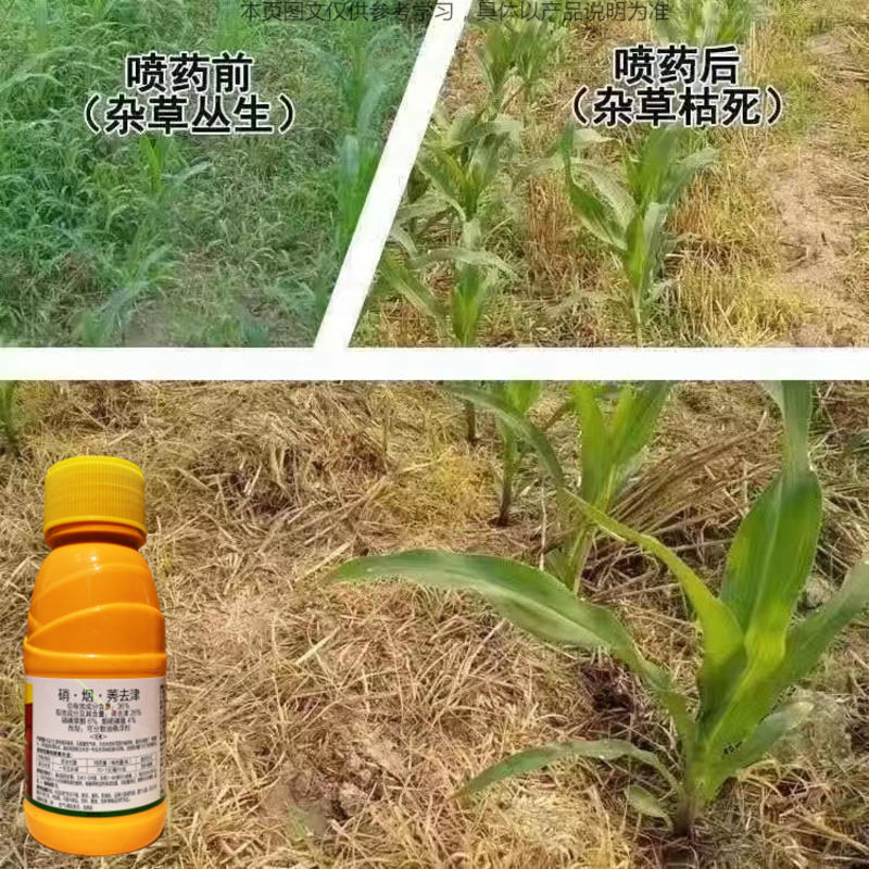 玉米苗后除草剂玉米专用除草剂玉米除草剂烟嘧磺隆莠去津硝磺