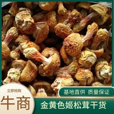 2025年新姬松茸干货，产地直发，一手货源，电联下单