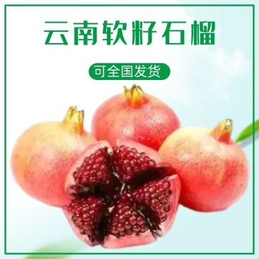 云南精品软子石榴基地直发品质保证量大从优欢迎联系